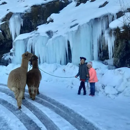 아파트 Luerzergut *